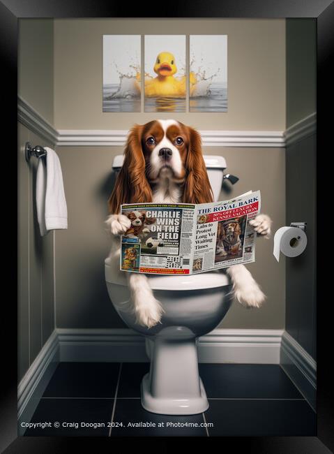 Cavalier King Charles Spaniel On the Toilet Framed Print by Craig Doogan