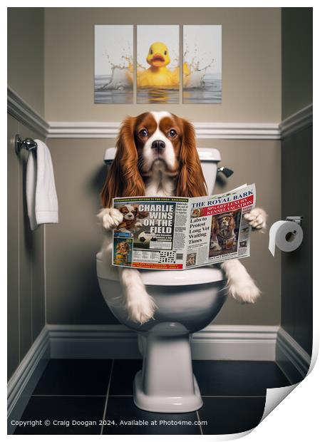 Cavalier King Charles Spaniel On the Toilet Print by Craig Doogan