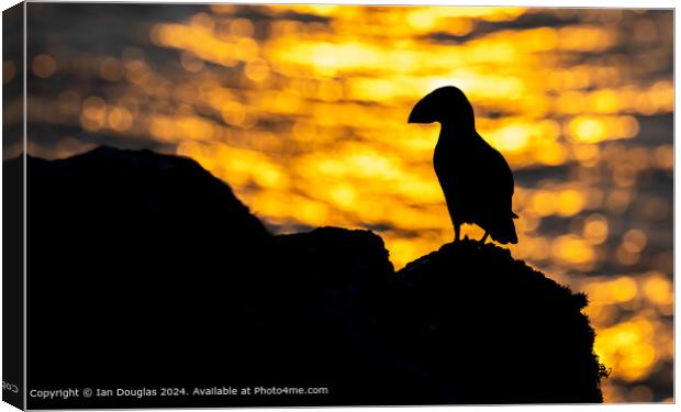 Sunset Puffin Silhouette Canvas Print by Ian Douglas