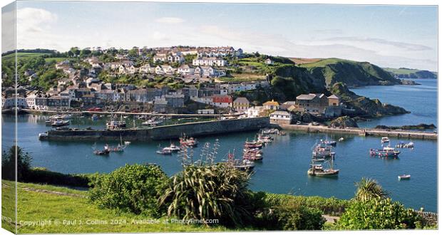 Midsummer in Mevagissey  Canvas Print by Paul J. Collins