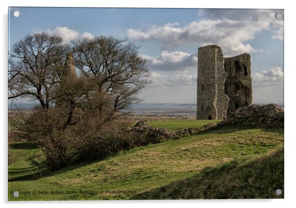 Hadleigh Castle, Nr. Southend on Sea, Essex. Acrylic by Peter Bolton