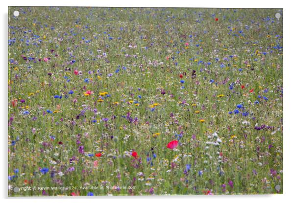 Wildflower Meadow  Acrylic by Kevin Wailes