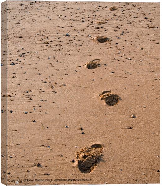 Footprints in the sand. Canvas Print by Peter Bolton