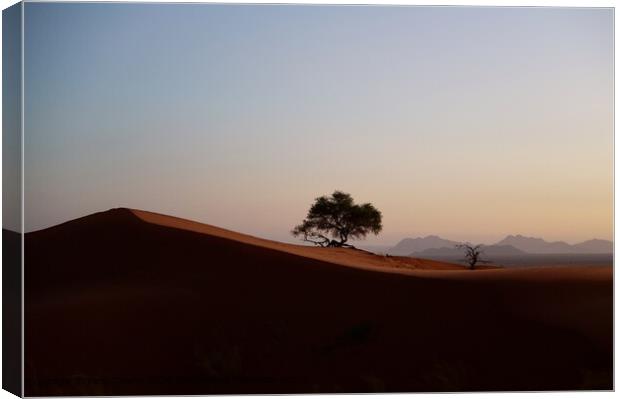 Namib Desert at dusk Canvas Print by Karin Tieche