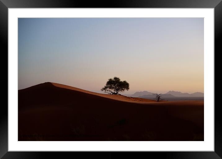 Namib Desert at dusk Framed Mounted Print by Karin Tieche