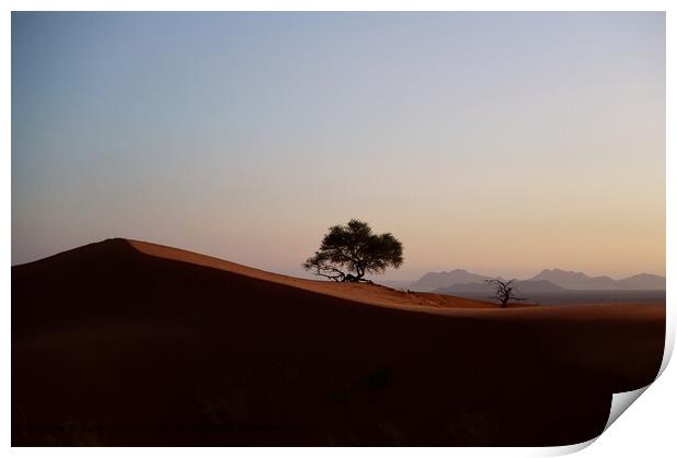 Namib Desert at dusk Print by Karin Tieche