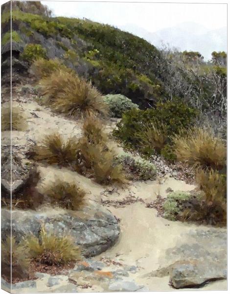 Pristine Beach Vegetation Tasmania Canvas Print by Steve Painter
