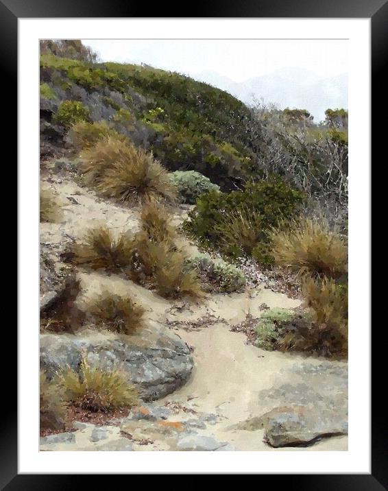 Pristine Beach Vegetation Tasmania Framed Mounted Print by Steve Painter