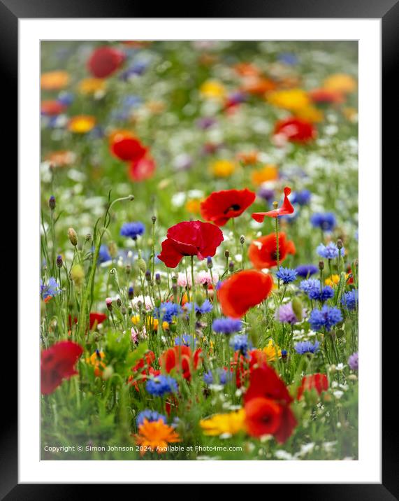 Poppies in Cheltenham Meadow Framed Mounted Print by Simon Johnson