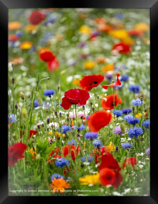 Poppies in Cheltenham Meadow Framed Print by Simon Johnson
