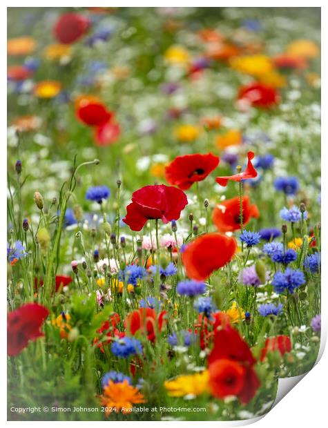 Poppies in Cheltenham Meadow Print by Simon Johnson