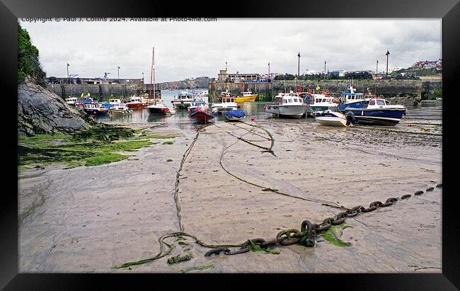 Harbour Moorings Framed Print by Paul J. Collins