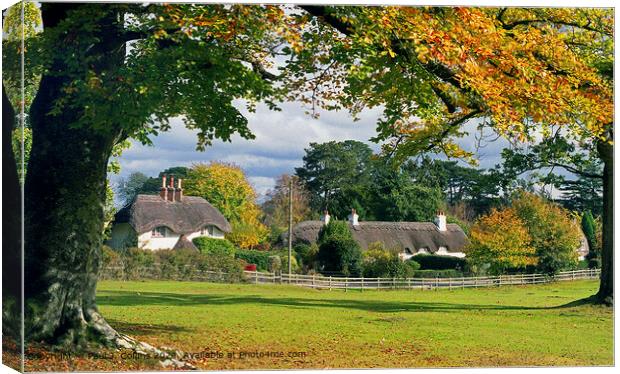 Swan Green Cottages Canvas Print by Paul J. Collins