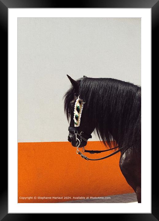 Black Horse Orange Wall Framed Mounted Print by Stephanie Mariaut
