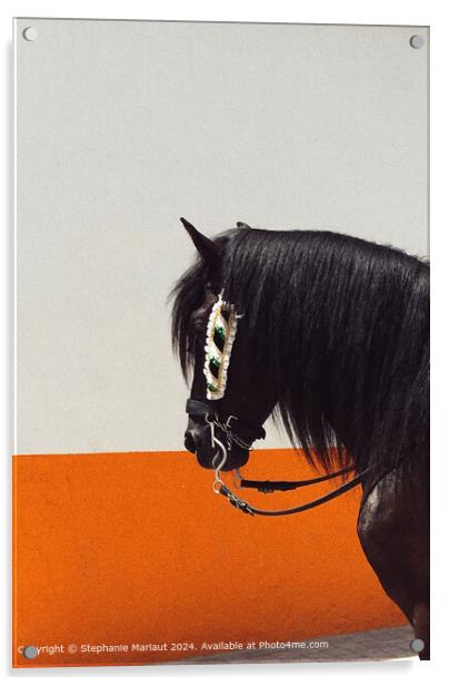 Black Horse Orange Wall Acrylic by Stephanie Mariaut