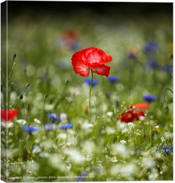 Wildflower Meadow Poppies Cornflowers Canvas Print by Simon Johnson