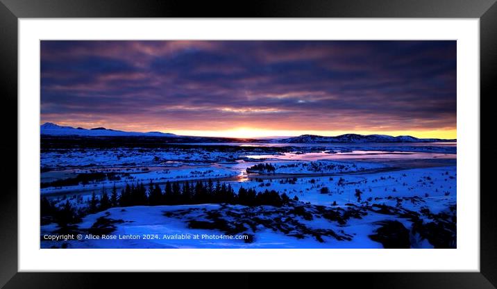 Winter Sunrise Framed Mounted Print by Alice Rose Lenton