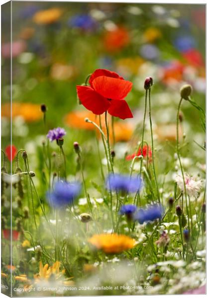 Vibrant Wildflower Meadow in Cheltenham Canvas Print by Simon Johnson