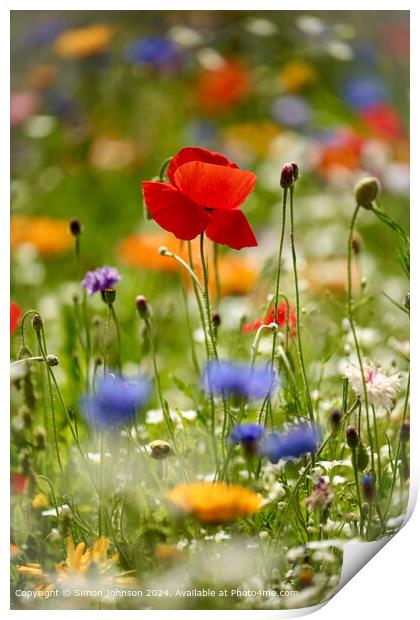 Vibrant Wildflower Meadow in Cheltenham Print by Simon Johnson