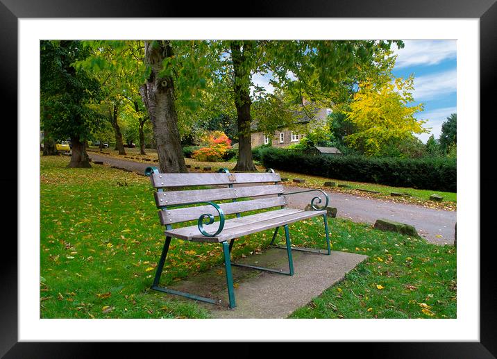 Autumnal Seat in Wentworth Village Framed Mounted Print by Alison Chambers