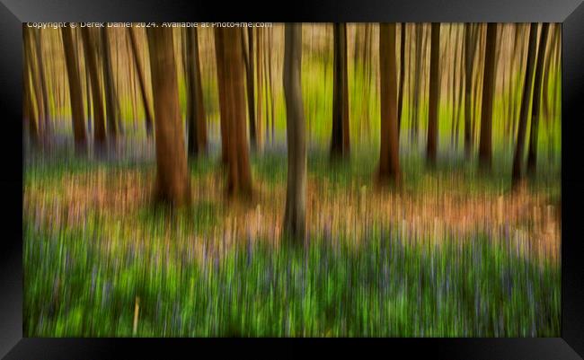 Enchanting Forest Symphony Framed Print by Derek Daniel