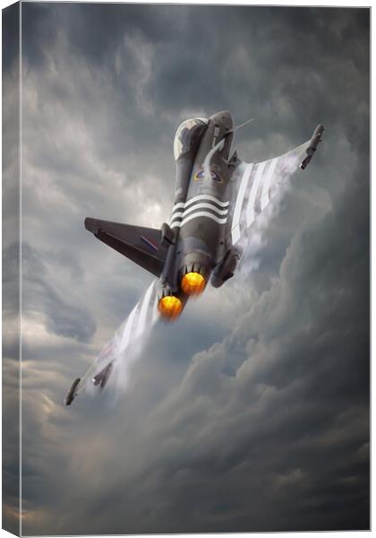 RAF Eurofighter Typhoon Moggy Canvas Print by J Biggadike