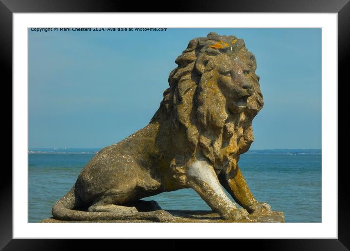 Stone Lion Framed Mounted Print by Mark Chesters