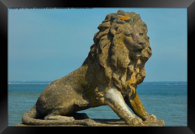Stone Lion Framed Print by Mark Chesters