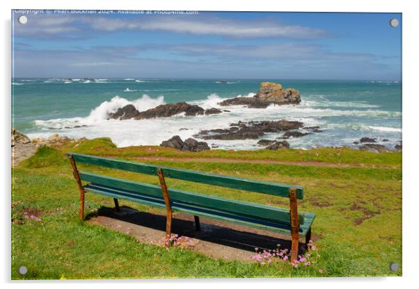 Watching the Waves on Guernsey Coast Acrylic by Pearl Bucknall