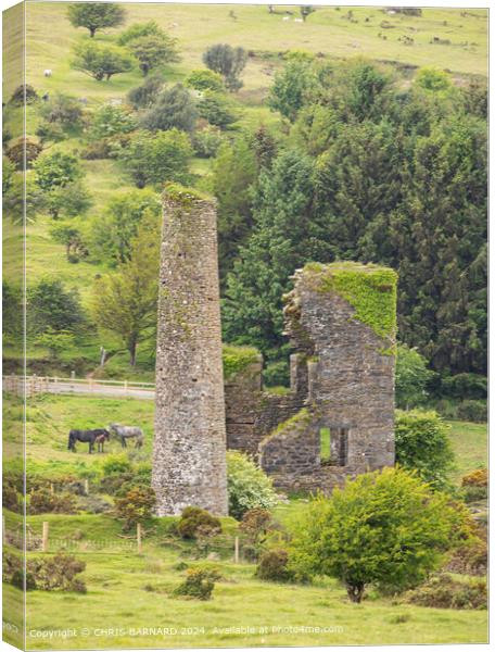 Old Mine Engine House Canvas Print by CHRIS BARNARD