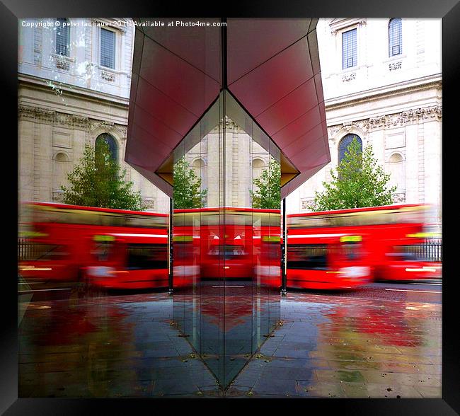 Red London Bus Reflected Framed Print by peter tachauer