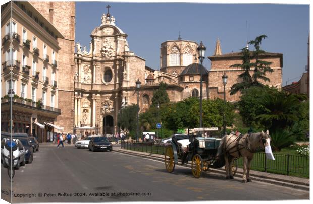 Street scene in Malaga, Spain, showing tourists and horse carriage waiting for customers. Canvas Print by Peter Bolton