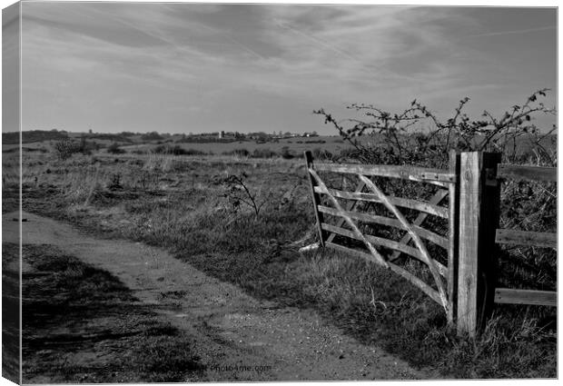Monotone landscape at Two Tree Island, Essex. Hadliegh Castle visible on the horizon. Canvas Print by Peter Bolton