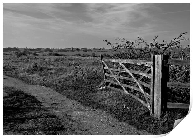 Monotone landscape at Two Tree Island, Essex. Hadliegh Castle visible on the horizon. Print by Peter Bolton