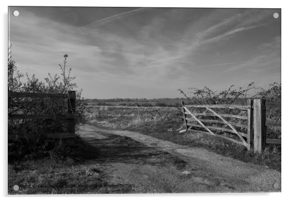 Monotone landscape at Two Tree Island, Essex. Acrylic by Peter Bolton