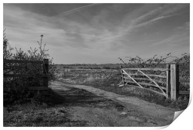 Monotone landscape at Two Tree Island, Essex. Print by Peter Bolton