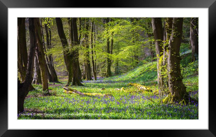 Lancashire Bluebell woodland Framed Mounted Print by John Henderson