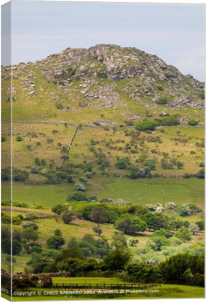 The view of Sharptor on Bodmin Moor Canvas Print by CHRIS BARNARD