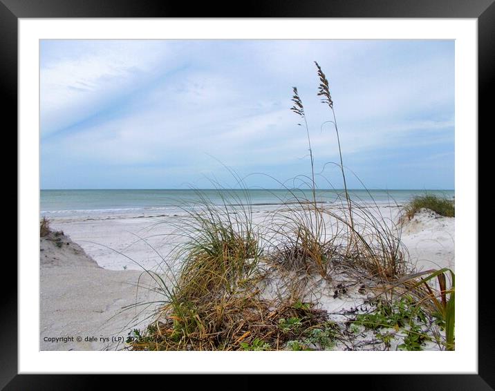 this soft low lite light...FLORIDA BEACH Framed Mounted Print by dale rys (LP)