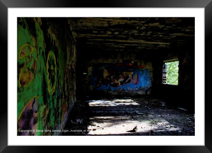 urbex II Framed Mounted Print by Elena Sofia Janata