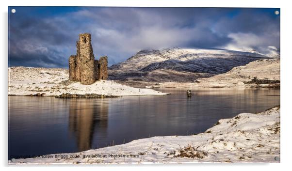 Ardvreck Castle in the Scottish Highlands Acrylic by Andrew Briggs