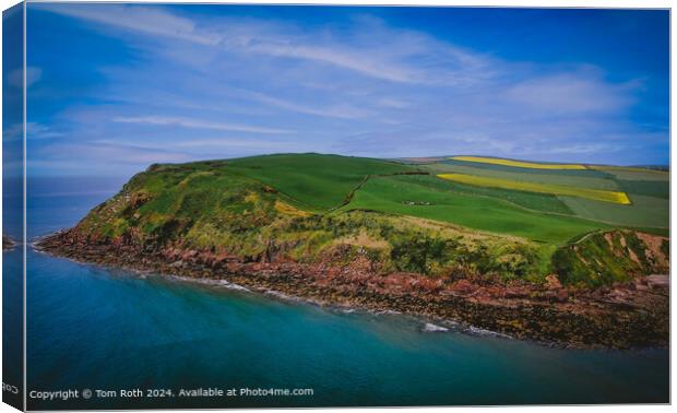 An aerial photograph of the iconic St Bees Head Cliff Face Canvas Print by Tom Roth