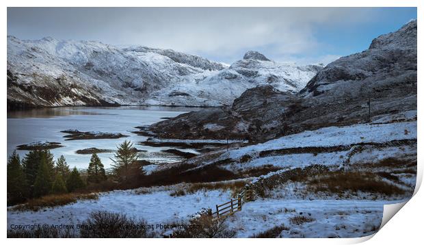 A winter wonderland in the Scottish Highlands. Print by Andrew Briggs
