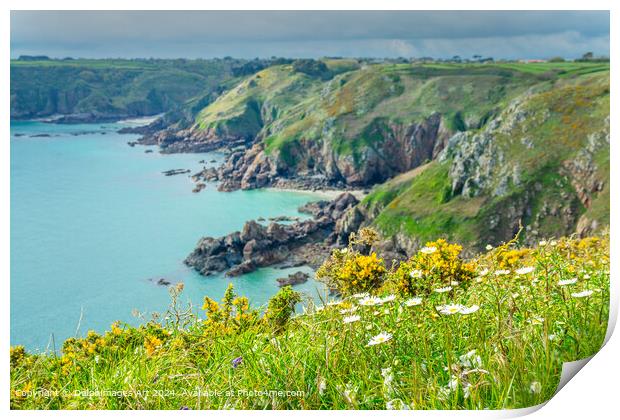 Spring landcape in Guernsey. Broom, daisies and wildflowers in spring on the cliffs of Icart Point Print by Delphimages Art