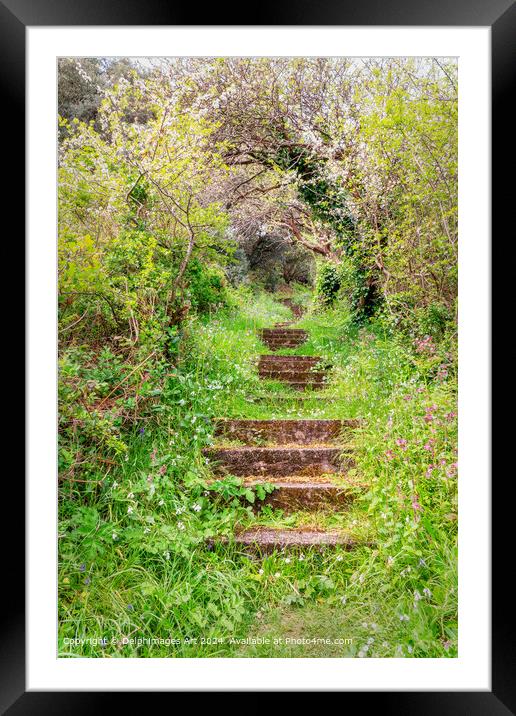 Steps on a hiking trail in Guernsey, Channel Islands Framed Mounted Print by Delphimages Art