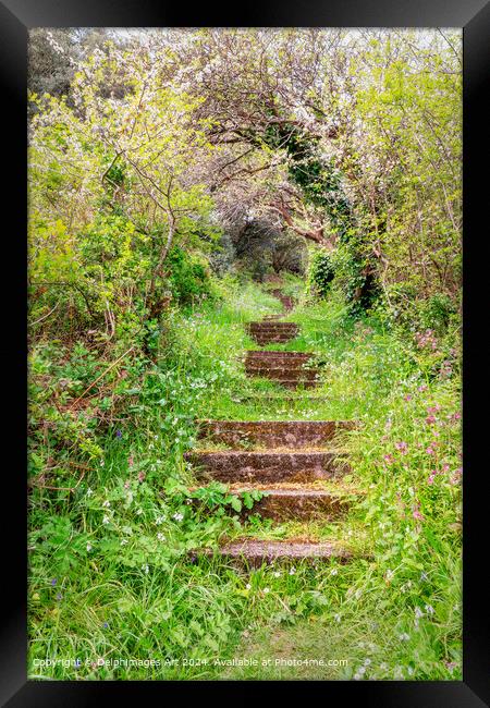 Steps on a hiking trail in Guernsey, Channel Islands Framed Print by Delphimages Art