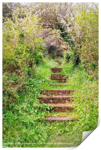 Steps on a hiking trail in Guernsey, Channel Islands Print by Delphimages Art