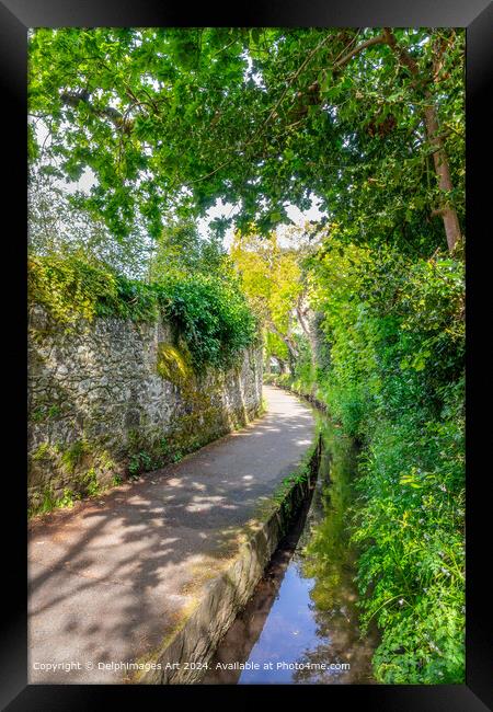 The Water Lanes, in St Peter Port, Guernsey Framed Print by Delphimages Art