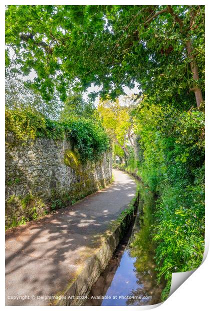 The Water Lanes, in St Peter Port, Guernsey Print by Delphimages Art