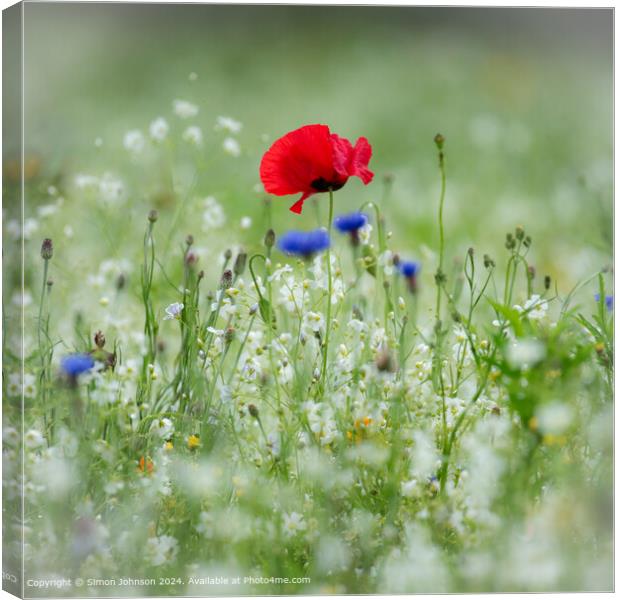 Summer r meadow with Poppy  and  Corn flowers  Canvas Print by Simon Johnson